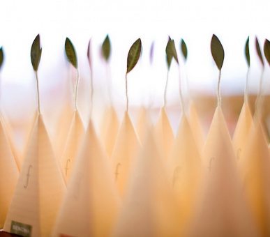 Картинка Capella Ixtapa (Мексика, Икстапа) 14 Фото Capella Ixtapa (Мексика, Икстапа) 14