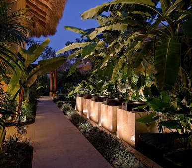 Картинка Capella Ixtapa (Мексика, Икстапа) 29 Фото Capella Ixtapa (Мексика, Икстапа) 29