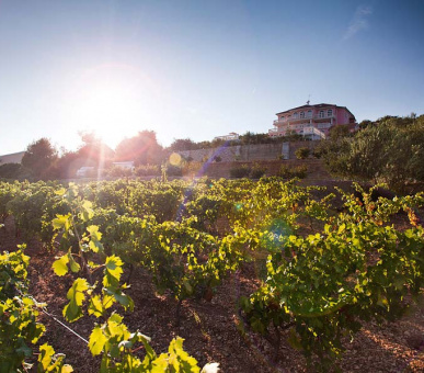 Картинка Villa Royal View (Шибеник Ривьера, Трогир) 3 Фото Villa Royal View (Шибеник Ривьера, Трогир) 3