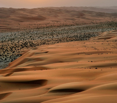 Фото Qasr Al Sarab Desert Resort by Anantara (ОАЭ, Абу-Даби) 24