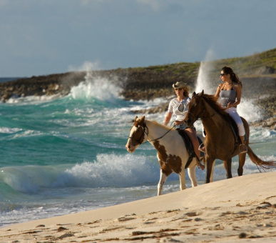 Картинка Cap Juluca (, Ангилья) 19 Фото Cap Juluca (, Ангилья) 19