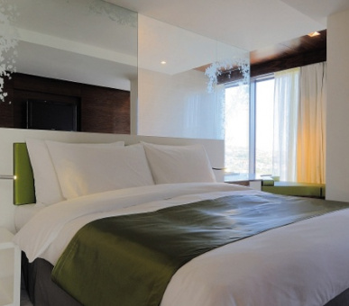 Картинка Radisson Blu Iveria Hotel (Грузия, Тбилиси) 9 Фото Radisson Blu Iveria Hotel (Грузия, Тбилиси) 9