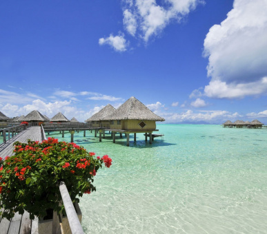 Картинка Inter Continental Le Maona Bora Bora (Французская Полинезия, о. Бора Бора) 21 Фото Inter Continental Le Maona Bora Bora (Французская Полинезия, о. Бора Бора) 21