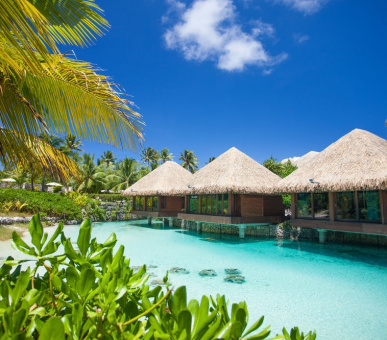 Картинка InterContinental Thalasso - Spa Bora Bora (Французская Полинезия, о. Бора Бора) 15 Фото InterContinental Thalasso - Spa Bora Bora (Французская Полинезия, о. Бора Бора) 15