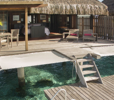 Картинка 13 Фото 13