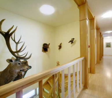 Фото Хоффманн (Венгрия, Охотничьи дома Венгрии) 3