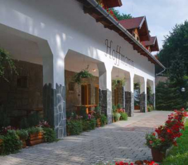 Фото Хоффманн (Венгрия, Охотничьи дома Венгрии) 7