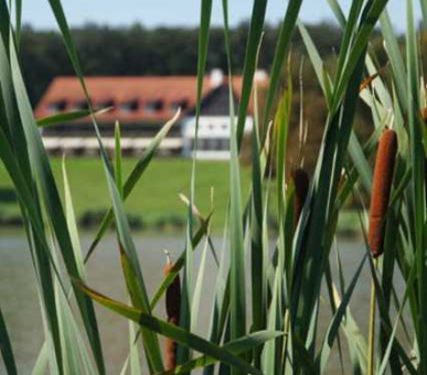 Картинка Дьярматпуста (Венгрия, Охотничьи дома Венгрии) 19 Фото Дьярматпуста (Венгрия, Охотничьи дома Венгрии) 19