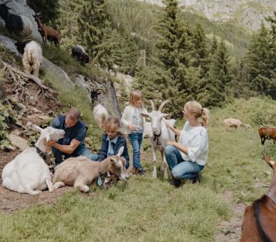 Фото The Chedi Andermatt (Швейцария, Андерматт) 22