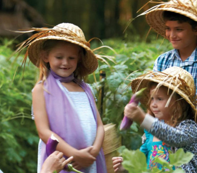 Картинка Four Seasons Resort Bali at Sayan (Индонезия, Бали) 6 Фото Four Seasons Resort Bali at Sayan (Индонезия, Бали) 6