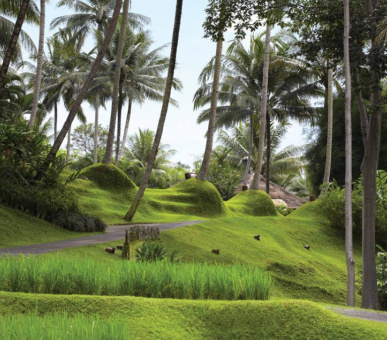 Картинка Four Seasons Resort Bali at Sayan (Индонезия, Бали) 15 Фото Four Seasons Resort Bali at Sayan (Индонезия, Бали) 15