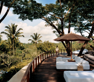 Картинка Como Shambala Estate (Бали, Убуд) 34 Фото Como Shambala Estate (Бали, Убуд) 34