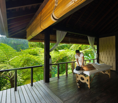 Картинка Como Shambala Estate (Бали, Убуд) 29 Фото Como Shambala Estate (Бали, Убуд) 29