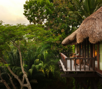 Картинка Como Shambala Estate (Бали, Убуд) 45 Фото Como Shambala Estate (Бали, Убуд) 45