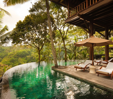 Картинка Como Shambala Estate (Бали, Убуд) 50 Фото Como Shambala Estate (Бали, Убуд) 50