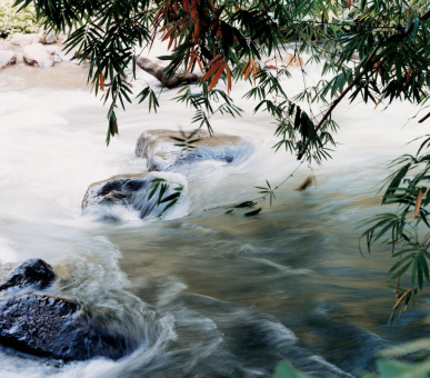 Картинка Como Shambala Estate (Бали, Убуд) 28 Фото Como Shambala Estate (Бали, Убуд) 28