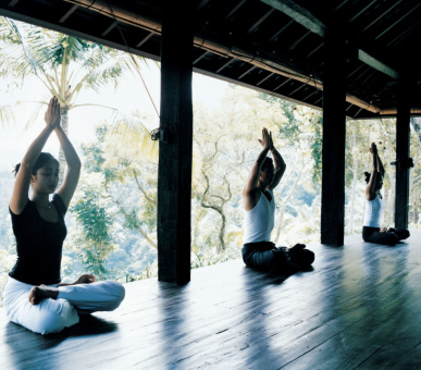 Картинка Como Shambala Estate (Бали, Убуд) 3 Фото Como Shambala Estate (Бали, Убуд) 3