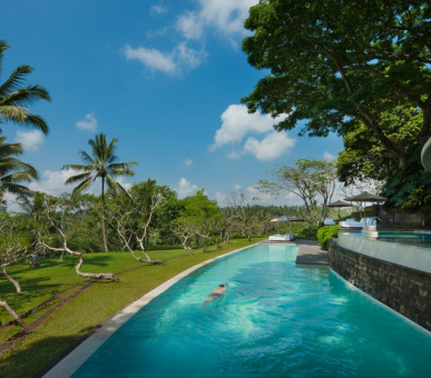 Картинка Como Shambala Estate (Бали, Убуд) 30 Фото Como Shambala Estate (Бали, Убуд) 30