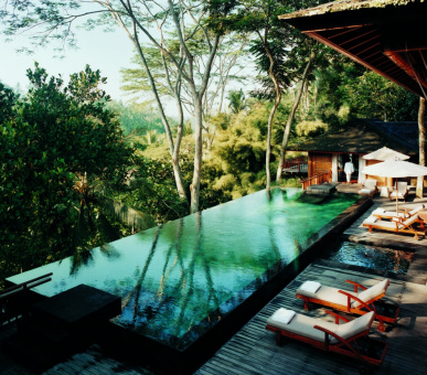 Картинка Como Shambala Estate (Бали, Убуд) 17 Фото Como Shambala Estate (Бали, Убуд) 17