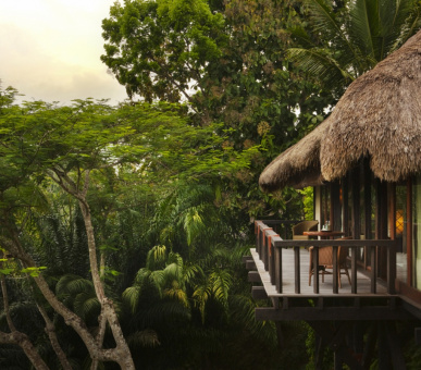 Картинка Como Shambala Estate (Бали, Убуд) 14 Фото Como Shambala Estate (Бали, Убуд) 14