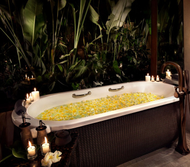 Фото Mandapa, A Ritz-Carlton Reserve (Бали, Убуд) 5