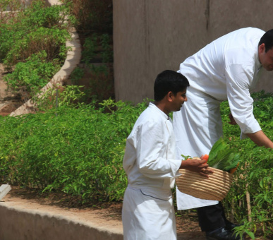 Картинка Six Senses Zighy Bay (Оман, Маскат) 14 Фото Six Senses Zighy Bay (Оман, Маскат) 14
