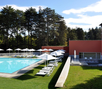 Картинка Vidago Palace 13 Фото Vidago Palace 13