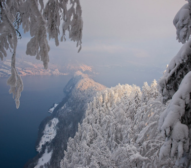 Фото Hotel Villa Honegg (Швейцария, Эннетбюрген) 23