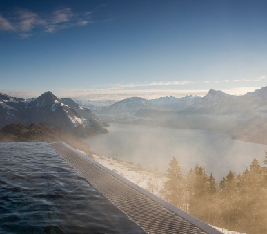 Фото Hotel Villa Honegg (Швейцария, Эннетбюрген) 21