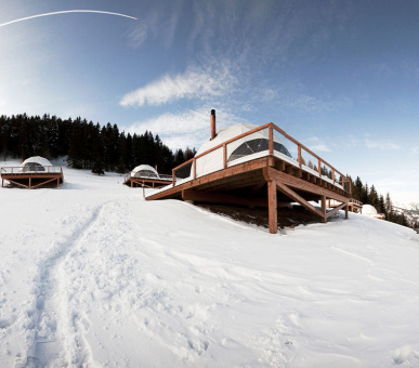 Фото Whitepod Hotel (Швейцария, Монте) 19