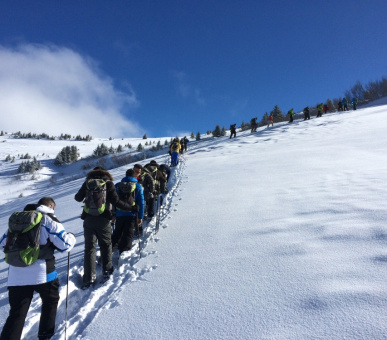 Фото Chalet Royalp Hotel  59