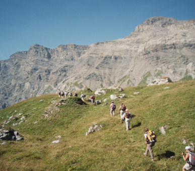 Фото Chalet Royalp Hotel  60