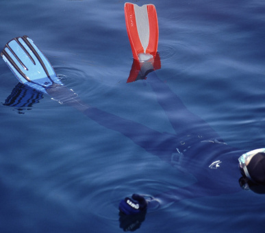 Картинка Villa Skula (Хорватия, Остров Брач) 31 Фото Villa Skula (Хорватия, Остров Брач) 31