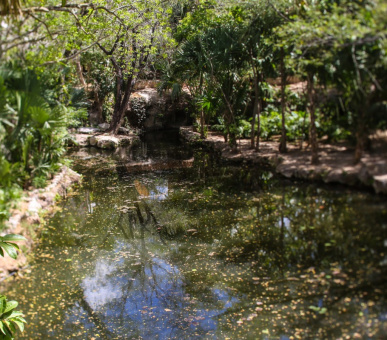 Картинка Chable Resort 19 Фото Chable Resort 19