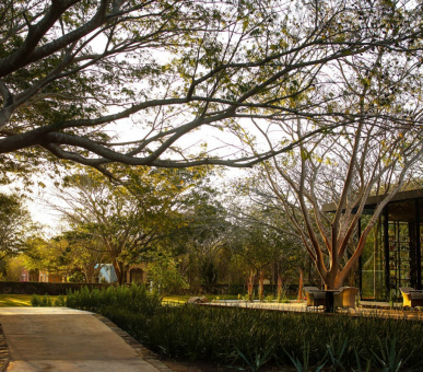 Картинка Chable Resort 29 Фото Chable Resort 29