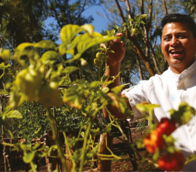 Картинка Chable Resort 56 Фото Chable Resort 56