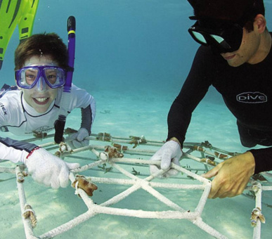 Фото Four Seasons Resort Maldives At Landaa Giraavaru (, Мальдивские острова) 6