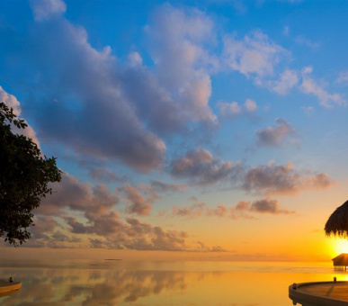 Фото Dusit Thani Maldives (, Мальдивские острова) 50