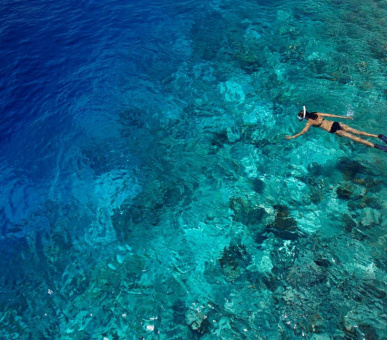Фото Dusit Thani Maldives (, Мальдивские острова) 46