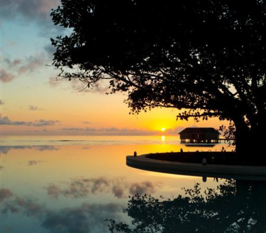 Фото Dusit Thani Maldives (, Мальдивские острова) 40