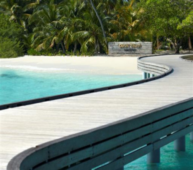 Фото Dusit Thani Maldives (, Мальдивские острова) 42