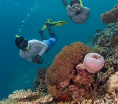 Фото Dusit Thani Maldives (, Мальдивские острова) 48