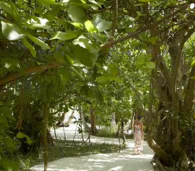 Фото Dusit Thani Maldives (, Мальдивские острова) 22