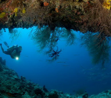 Фото Dusit Thani Maldives (, Мальдивские острова) 49