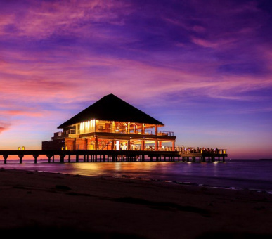 Фото Dusit Thani Maldives (, Мальдивские острова) 5