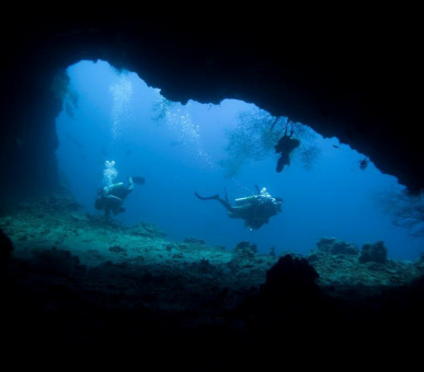 Фото Dusit Thani Maldives (, Мальдивские острова) 47