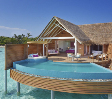 Картинка 4 Фото 4