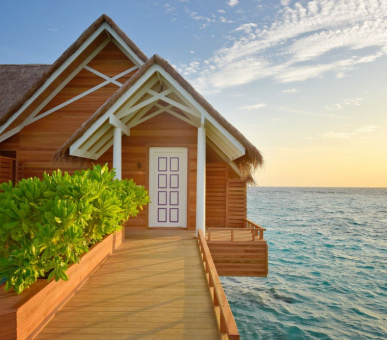 Картинка 12 Фото 12