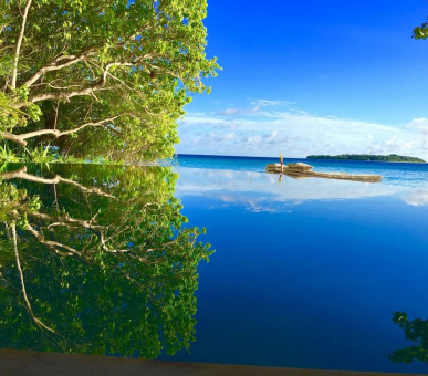 Картинка 20 Фото 20