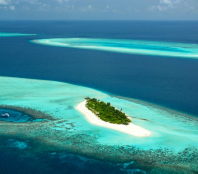 Картинка 15 Фото 15